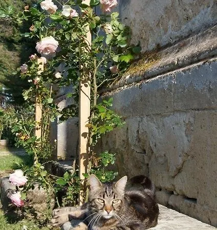 Couette-café Chateau Fauchey *